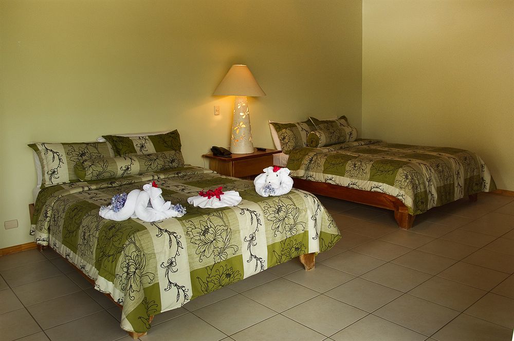 Ficus Lodge Monteverde 외부 사진